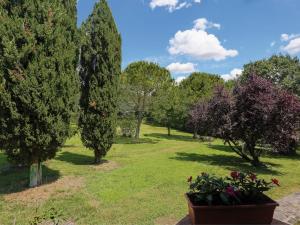 A garden outside Holiday Home Il Forno - TER101 by Interhome