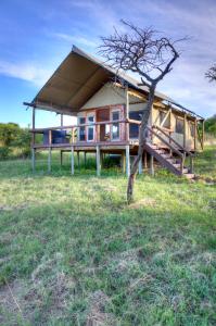 a house with a tree in front of it at The Springbok Lodge in Nambiti Private Game Reserve