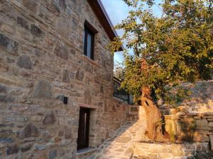 un viejo edificio de piedra con un árbol al lado en Agricoltura Rascio, en San Mauro Cilento