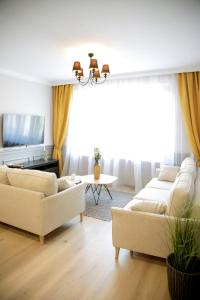 a living room with two couches and a television at Central Boutique Apartments in Sighişoara