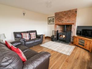 a living room with a couch and a fireplace at Green Cottage in Rhayader