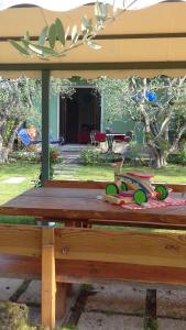 Zahrada ubytování Agriturismo la Casetta