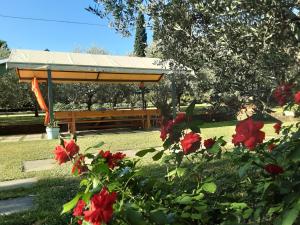 Zahrada ubytování Agriturismo la Casetta