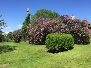 A garden outside Wartling Place Country House 