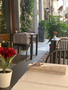 Fotografie z fotogalerie ubytování Voglia di Vino Locanda v Albě