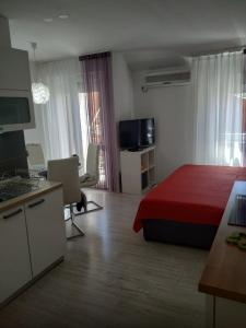 1 Schlafzimmer mit einem Bett, einer Küche und einem TV in der Unterkunft Apartman Viola Mareda in Novigrad Istria