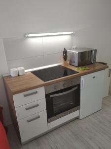 eine Küche mit einem Herd und einer Mikrowelle in der Unterkunft Apartman Viola Mareda in Novigrad Istria