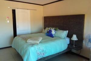 a bedroom with a large bed with blue sheets and pillows at Oppidam Self Catering in Clanwilliam