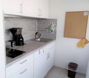 a kitchen with a sink and a counter top at Appartementhäuser Herbert und Walter in Bad Füssing