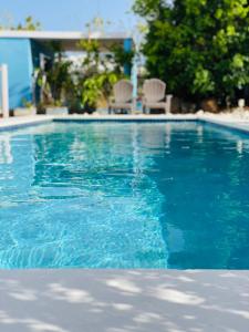 una piscina azul con 2 sillas. en Tropical Breeze Curaçao, en Santa Catharina