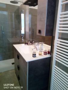 科莫的住宿－Oasi，一间带水槽和淋浴的浴室