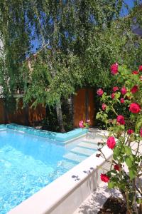 a swimming pool with flowers and a fence at Hotel Alkima in Kotor