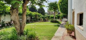 einen Garten mit einem Baum neben einem Gebäude in der Unterkunft Casa do Alto in Vilamoura