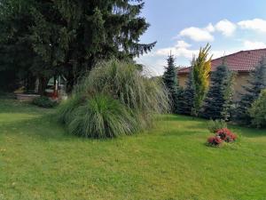 A garden outside Júlia Vendégház
