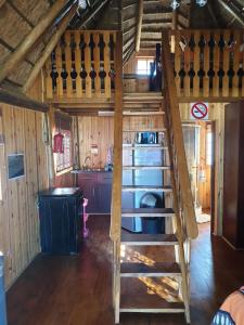 a loft bed in a tiny house with a kitchen at Honne-Pondokkies in Hondeklipbaai