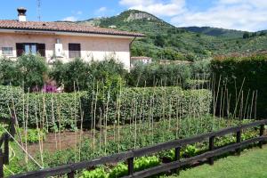 Rocca Massima的住宿－Locanda Pinocchio，房屋前的花园