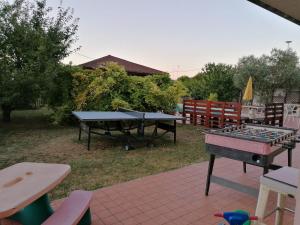 A garden outside Little Star pioppa