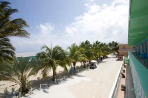 uma vista para uma rua com palmeiras e uma praia em Rainbow Hotel em Caye Caulker