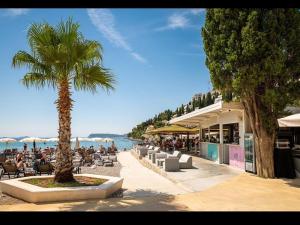 a beach with a palm tree and people sitting in chairs at Dubrovnik Summer Apartments in Dubrovnik