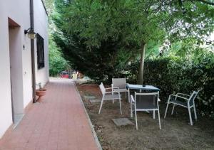 A garden outside Little Star pioppa
