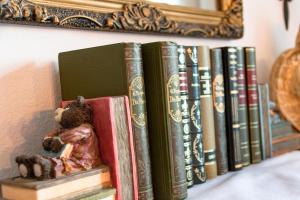 una fila de libros en un estante con un osito de peluche en Ferienwohnung Alpaka Blick, en Schneppenbach