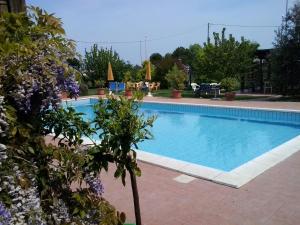 The swimming pool at or close to Little Star pioppa