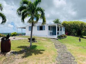 a white house with a palm tree in front of it at Maison Canne à Sucre in Grande Anse