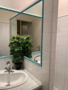 a bathroom sink with a mirror and a potted plant at Apartment Limas in Avignon
