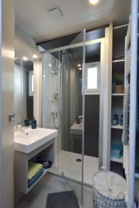 y baño con ducha, lavamanos y ducha. en Cottages du Golf Fleuray-Amboise, en Cangey