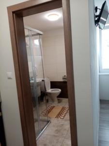 a bathroom with a toilet and a glass door at Ivachnová 84 in Ivachnová