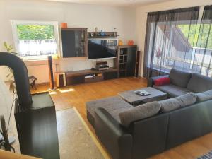 een woonkamer met een bank en een flatscreen-tv bij FewoEla2 in Eppstein