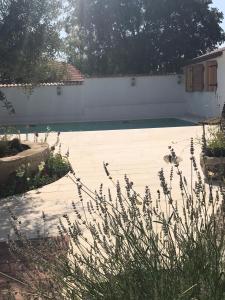 Vonkajšia záhrada v ubytovaní Holiday Home chichichi