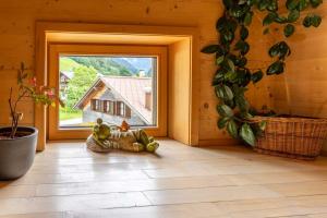 Zahrada ubytování Forsthaus Schoppernau