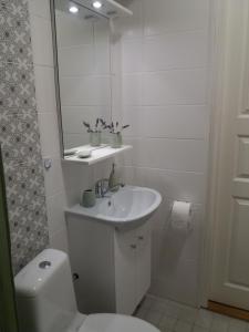 Koupelna v ubytování Nurmbergi Maja