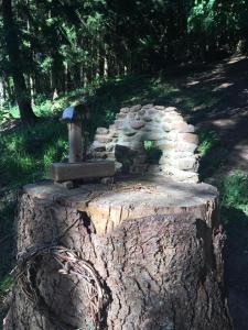 a tree stump with a bird house on top of it at Waldnest Odenwald in Wald-Michelbach +36 photos