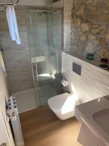 a bathroom with a shower and a toilet and a sink at Casa Rural Martiamuno Landetxea in Zumárraga