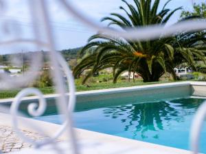 una piscina con palmeras en el fondo en Quinta Pedra Firme, en Sintra