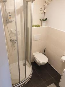 een badkamer met een douche en een toilet. bij Ferienwohnung Lindenhof, zentrumsnah mit Terrasse und Grillmöglichkeit in Maagdenburg