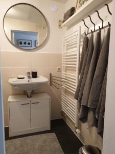 een badkamer met een wastafel en een spiegel bij Ferienwohnung Lindenhof, zentrumsnah mit Terrasse und Grillmöglichkeit in Maagdenburg