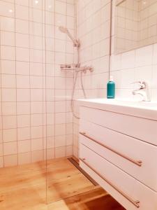 Kúpeľňa v ubytovaní APARTMENTS zum Wohlfühlen MARIAZELL