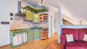 Kuchyňa alebo kuchynka v ubytovaní Apartamenty Kurort