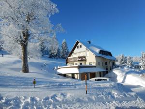 a house covered in snow next to a tree at Ferienwohnung Cafe`Rotter , Brigitte und Jürgen Rotter in Schellerhau