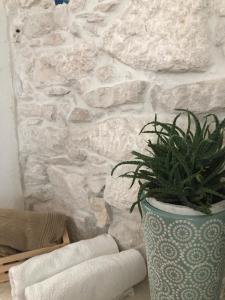 a plant in a vase next to a stone wall at Guest House Dijana in Korčula