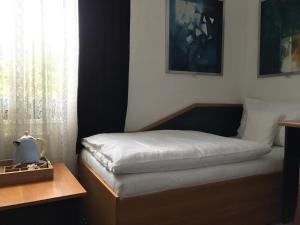 Voodi või voodid majutusasutuse Antik Hotel Sofia toas