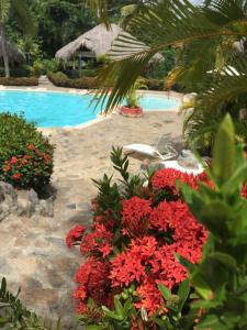 Bassein majutusasutuses Hotel - Residencial Madrugada või selle lähedal