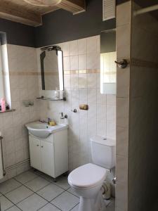 Koupelna v ubytování Apartamenty Jarzębinowa 17