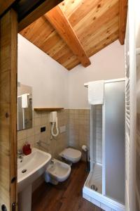 La salle de bains est pourvue d'un lavabo, de toilettes et d'une douche. dans l'établissement ALTESTANZEOSTANA, à Ostana