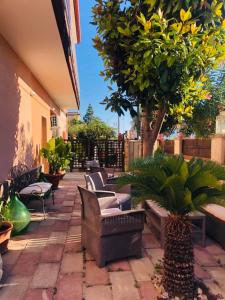 a patio with a bunch of chairs and a tree at Musa B&B in Taranto