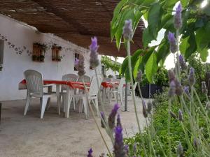 Ogród w obiekcie Es Barranco