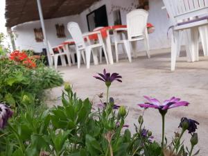 Ogród w obiekcie Es Barranco